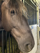 7E71CDB8-E8DB-4E88-9A9D-5BFADEF6BD3A