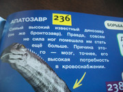 https://i.postimg.cc/LYMTWR9H/100-8099.jpg