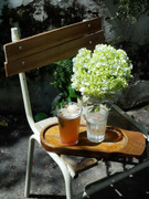 photo 19 2026 01 10 15 34 58