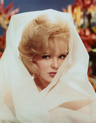 joey-heatherton-c17