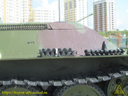 IMG-3487