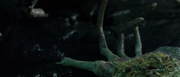 vlcsnap-2024-02-02-11h26m59s150.png