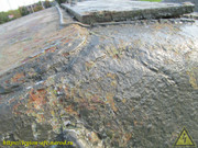 IMG-9335