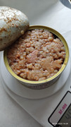 IMG-20220404-162432