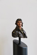 BEST FIGURE Flting Tiger Pilot by Jason Grenot