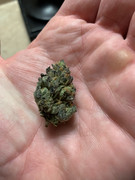 6E09F62E-677F-4479-AB84-63CF4B73A712