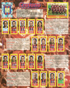 Album-Calciatori-2009-2010-Panini-100