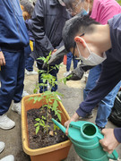 8ffad2c8-1049-4245-b724-f0ff017dc097