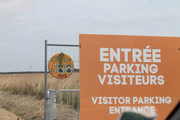 IMG-4375.jpg