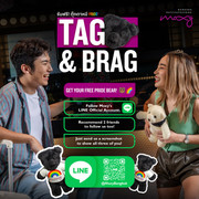 L-PRIDE-Tag-And-Brag-flyer