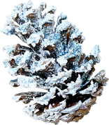 Bronze-Christmas-Elements-95
