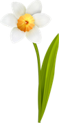 Yk-Easter-is-Coming-25
