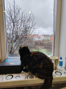 photo-2025-12-02-13-48-27-(3)