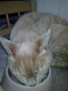 Злата в начале жизни у нас (4)