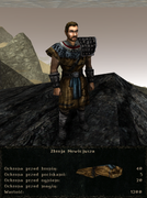 pancerze i ubrania (23)