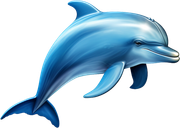 DWD-Fantastic-Water-World-Element-62