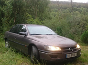 Screenshot_20250207-225138