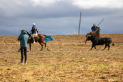IMG-0068