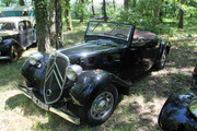 IMG-5010.jpg