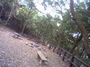 picture-0022_26056129397_o