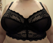 Charley-20260527-141833980
