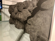 EF580C17-4469-4135-BE98-6FB296B6F43C