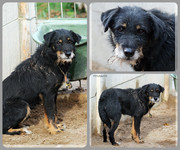 Be-Funky-collage-20.jpg&key=28e10ad0a64a