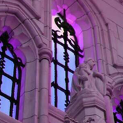 IMG-6224.png