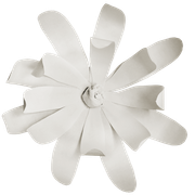 Winter-White-Elements-190