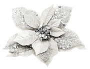 BC-Charlizes-Winter-45