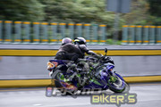 DSC0296