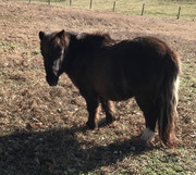 B6A652A8-FF2B-4096-A166-6077A46BCB09