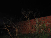 60.1.ghosts of spring I