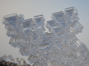 DSC02364-crop