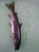 [Image: 20220117-113010.jpg]