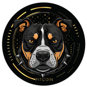 pitcoin-website-icon-updated.png