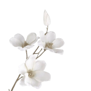 Tumblr l 501365267349056