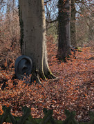 PXL 20260207 135258688