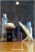 SOTD20241215_Vantastic2