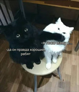 4ec784e0ce35e25e4e007e62054071d7.jpg