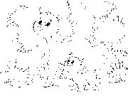 koshka-mama-i-kotionok