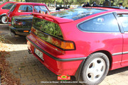 IMG-3163