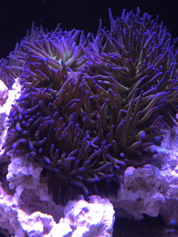 9AA4C4FF-7D3D-4518-8507-180CFD4A73AB