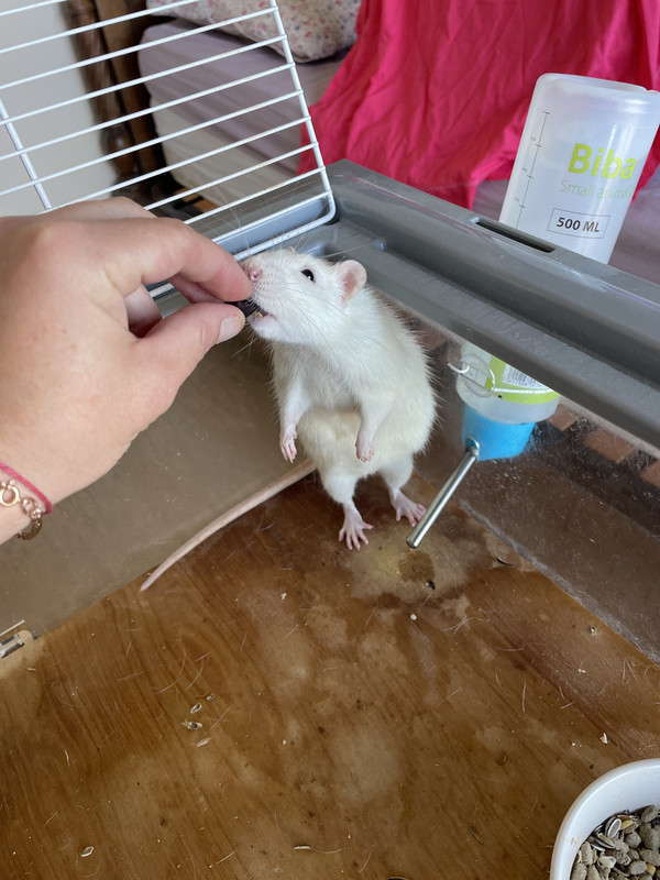 E7595C8E-1CC7-4D95-98E7-6F4C81BC8B4F