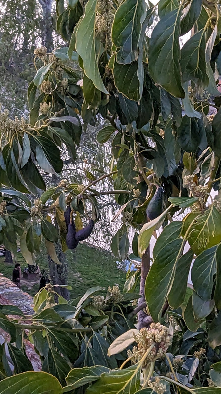 PXL_20240322_181318767