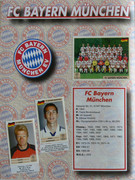 Album-UEFA-Champions-League-2000-2001-Finale-Panini-06