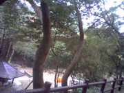 picture-0019_26056129767_o