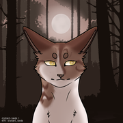 export202410080715583917