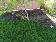 [Image: garden10.jpg]