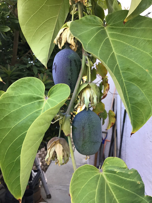 FE8BFF40-F418-4C9D-9E6D-7BC4DA0942D2